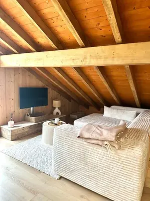 a attic room with a bed and a tv at Le tilleul-cœur du village in Samoëns