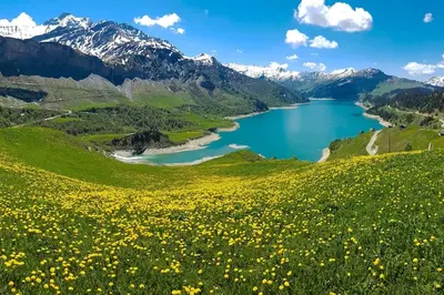 a green field of flowers next to a lake at Exceptional view of village and mountain in Megève