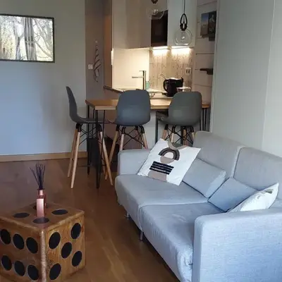 Studio confortable rénové en résidence verdoyante à Chamonix - FR-1-517-69