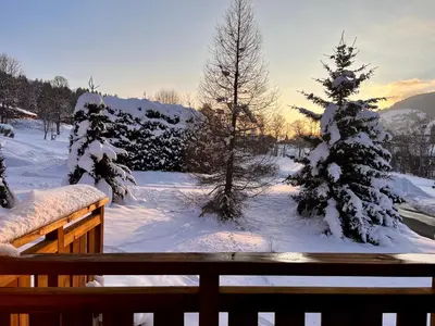 a snow covered yard with a snow covered christmas tree at Appartement Panthère in Demi-Quartier