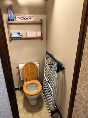 a bathroom with a toilet with a wooden seat at Résidence Ecrin Des Glacier Ecureuil - ECRIN DES GLACIERS ECUREUIL 4 MAE-4011 in Combloux