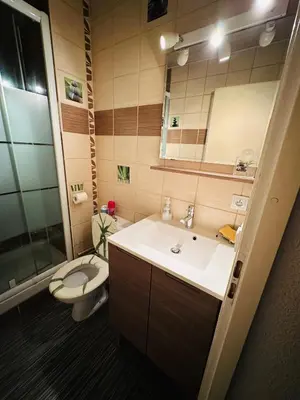 a bathroom with a sink and a toilet and a mirror at Studio vue montagne à 200m des pistes in Arâches-la-Frasse