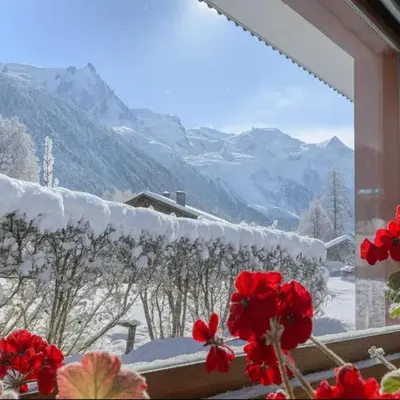 Bright apartment - near Mont Blanc