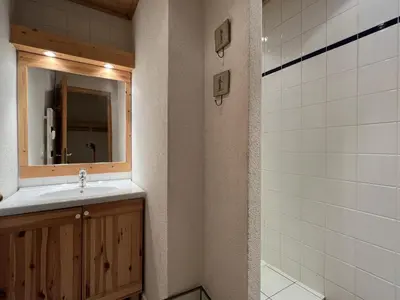 a bathroom with a sink and a mirror and a shower at ARA15 Appartement 6 Pers centre station Carroz in Les Carroz d'Araches
