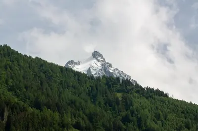 a snow covered mountain on top of a tree covered hill at Les Barrats - Duplex - Central - Vue Mont-Blanc in Chamonix-Mont-Blanc