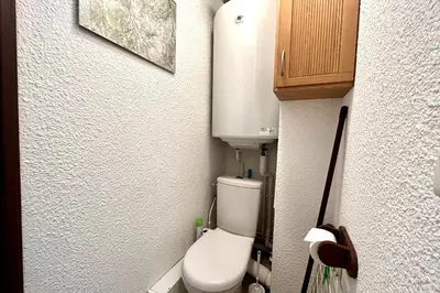 a small bathroom with a toilet and a wooden cabinet at Terrasse du Front de Neige in Demi-Quartier