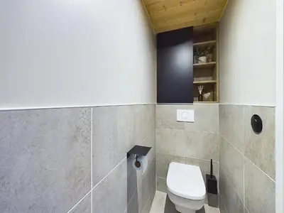 a bathroom with a white toilet in a room at Panorama MontBlanc in Domancy