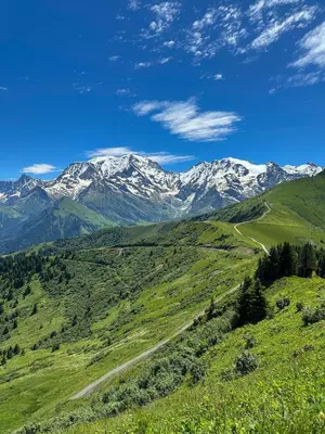 a mountain view of a green valley with snow covered mountains at Appartement à la Montagne in Saint-Gervais-les-Bains