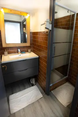 a bathroom with a sink and a mirror and a shower at La Ferme du Lay in Arâches-la-Frasse