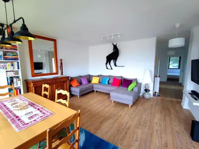 a living room with a cat jumping on the wall at Le Chamois d'Assy, résidence alpine de charme in Passy