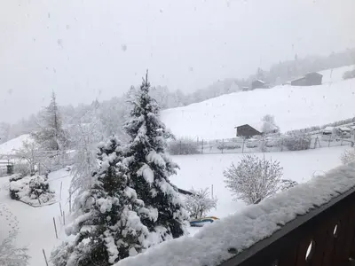 a snow covered christmas tree on top of a house at Appartement Balcon piscine tennis vue Montagne in Saint-Gervais-les-Bains