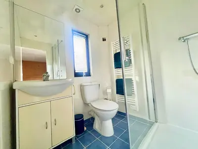 a bathroom with a toilet and a sink and a shower at Charmant appartements Sallanches in Sallanches
