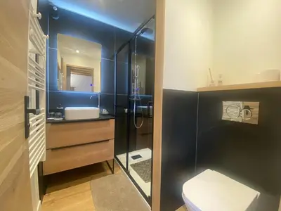a bathroom with a toilet and a sink and a mirror at Du Côté de Chez Sou in Arâches-la-Frasse