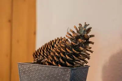 a metal pot with a pine cone in it at Appartement T4 familial à Chamonix, avec Parking et près des Grand Montets in Chamonix-Mont-Blanc
