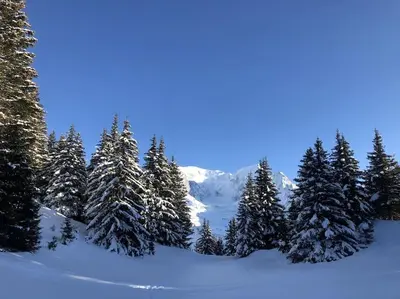 a group of snow covered trees on a mountain at Mountain Cabin - vue montagne - 4 personnes in Les Houches