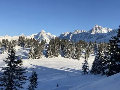 a snowy field with trees and mountains in the background at Mountain Cabin - vue montagne - 4 personnes in Les Houches