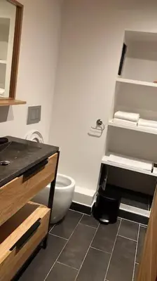 a bathroom with a toilet and a sink at Magnifique Appartement au Centre de Chamonix in Chamonix-Mont-Blanc