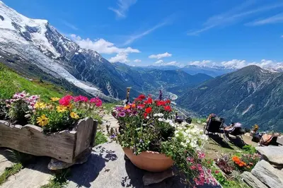 a view of flowers on a mountain with mountains at Le chalet des belges - Saint-Gervais in Saint-Gervais-les-Bains