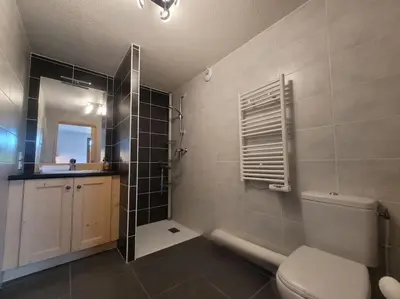 a bathroom with a shower and a toilet and a sink at Zorta - Ground floor apartment with private garden in Samoëns