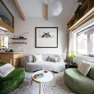 1 bedroom apartment plus mezzanine