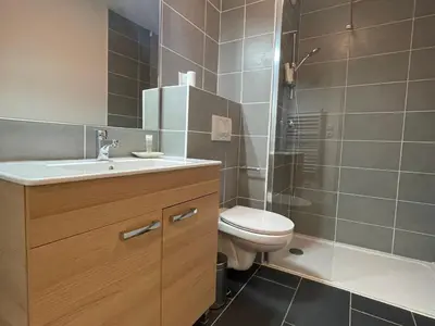 a bathroom with a sink and a toilet and a shower at Appartement lumineux avec parking à Samoëns, animaux admis - FR-1-624-170 in Samoëns