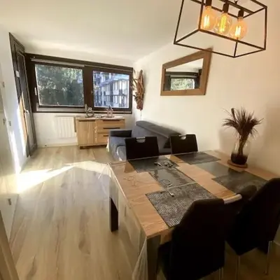 Appt Cosy au centre Chamonix