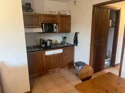 a small kitchen with wooden cabinets and a sink at Appartement Samoëns in Samoëns