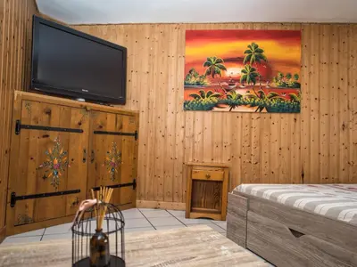 a living room with a flat screen tv on a wooden wall at La Charlotte in Sallanches