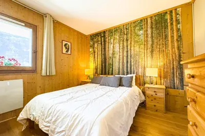 a bedroom with a bed and a window with curtains at Apartment with mountain view in Saint-Gervais in Saint-Gervais-les-Bains