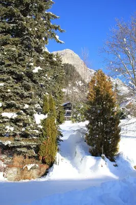 two trees in the snow in front of a mountain at Le Manoir d Ernesta in Passy