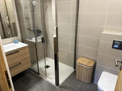 a bathroom with a shower and a toilet and a sink at Chalet Flore - CHALET FLORE MAE-6641 in Combloux