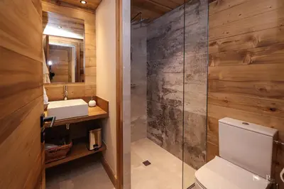 a bathroom with a toilet and a sink and a shower at Chalet du Gouter in Combloux