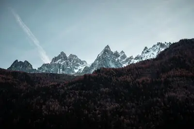 a mountain range with trees and snow capped mountains at Vertice - Center Chamonix Mont-Blanc View in Chamonix-Mont-Blanc