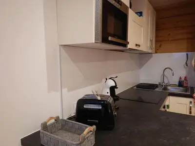 a kitchen with a toaster on the counter and a sink at Les montagnes sur le balcon in Chamonix-Mont-Blanc