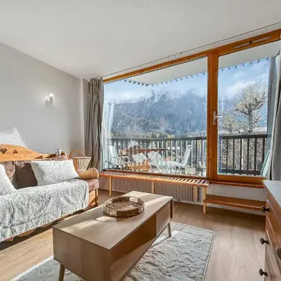 Vue Mont Blanc