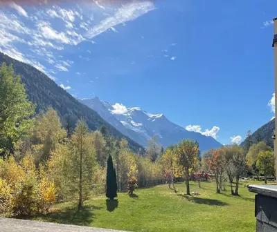 a field with trees and mountains in the background at Duplex 4 pers vue MontBlanc , Grands Montets in Chamonix-Mont-Blanc
