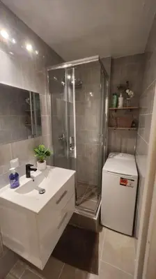 a bathroom with a sink and a shower and a toilet at Cocon Face au MontBlanc in Sallanches