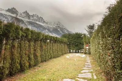 a row of trees in front of a mountain at Le Bedux - Privée - Calme - Terrasse - Vues in Chamonix-Mont-Blanc