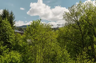 a group of trees with mountains in the background at Appartement Cornec - Your stay in Megève in Megève