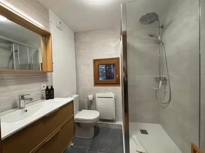 a bathroom with a shower and a toilet and a sink at Capucins 3 in Chamonix-Mont-Blanc