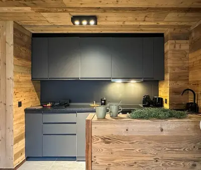 a kitchen with gray cabinets and a wooden wall at Stella Megeve Palais garage in Megève