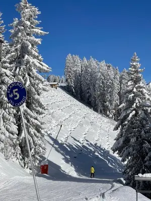 a balcony with a view of a snow covered mountain at Le Marlotte in Les Carroz d'Araches