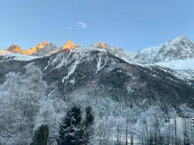 a mountain covered in snow with trees on it at Le Miage in Chamonix-Mont-Blanc