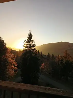 a view of a sunset from a balcony with a tree at Le green d'Arbois - Ski au pied in Megève