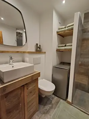 a bathroom with a sink and a toilet and a mirror at Le green d'Arbois - Ski au pied in Megève
