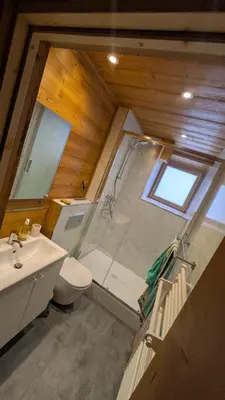 a bathroom with a shower and a toilet and a sink at L'Helvetia in Chamonix-Mont-Blanc