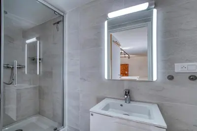 a bathroom with a sink and a shower and a mirror at Studio 2 personnes in Passy