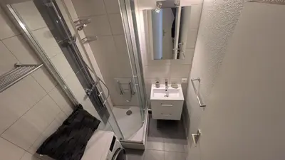 a bathroom with a shower and a toilet and a sink at L'Oursina in Chamonix-Mont-Blanc