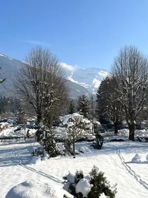 a snow covered field with trees and mountains in the background at 3 chambres - 2 SDB - 7 personnes - 100 m télécabine GME in Samoëns