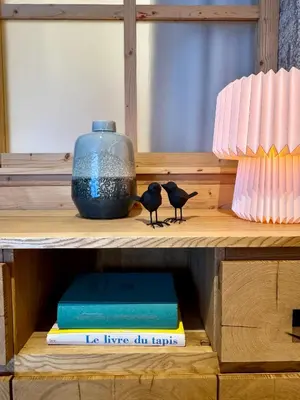 two birds on a shelf with a vase and books at Woodpecker Appartement au coeur du village in Les Houches